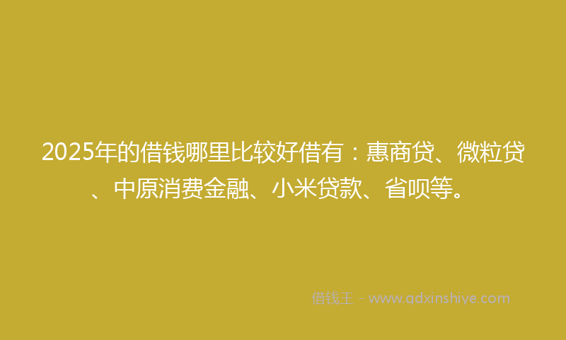 2025年的借钱哪里比较好借有：惠商贷、微粒贷、中原消费金融、小米贷款、省呗等。