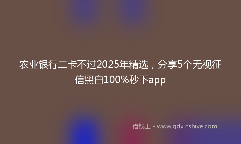农业银行二卡不过2025年精选，分享5个无视征信黑白100%秒下app