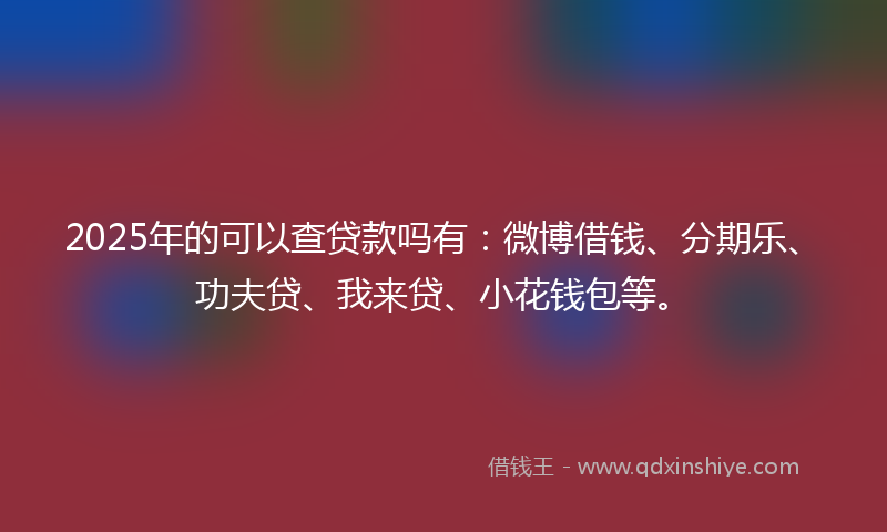 2025年的可以查贷款吗有：微博借钱、分期乐、功夫贷、我来贷、小花钱包等。