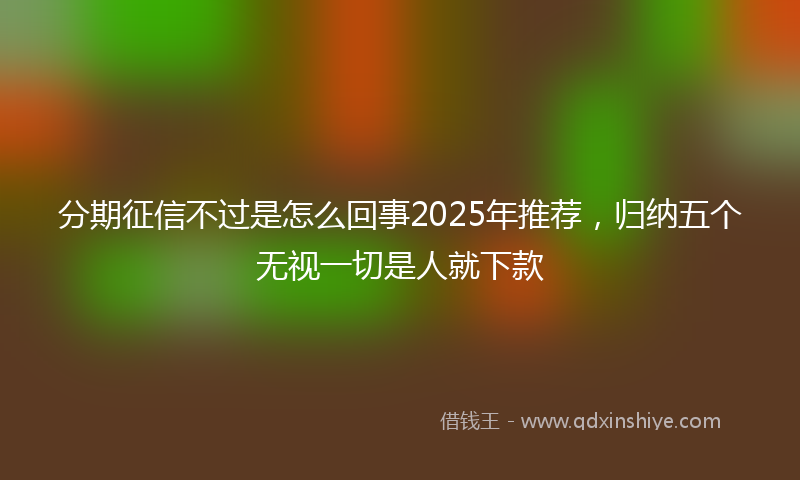 分期征信不过是怎么回事2025年推荐，归纳五个无视一切是人就下款