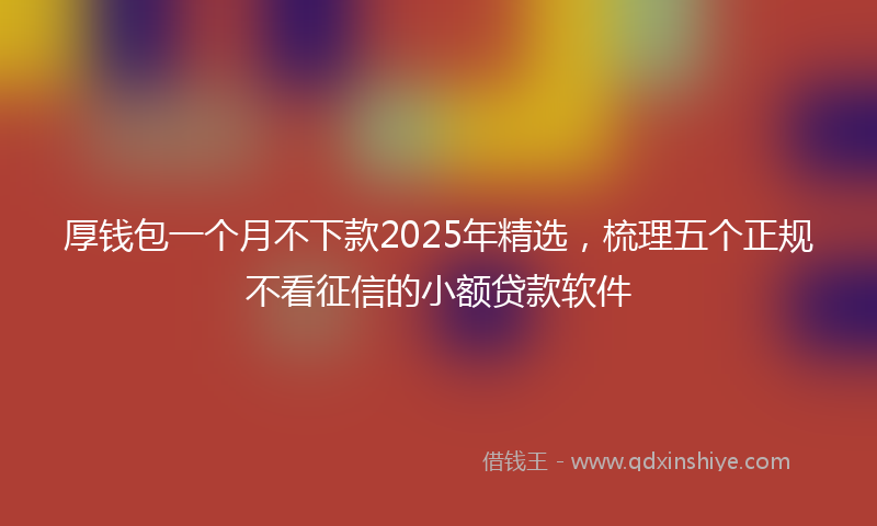 厚钱包一个月不下款2025年精选，梳理五个正规不看征信的小额贷款软件