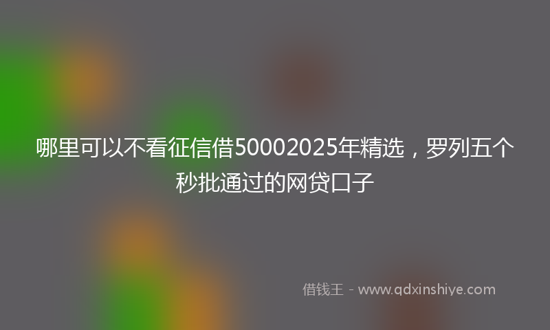 哪里可以不看征信借50002025年精选，罗列五个秒批通过的网贷口子