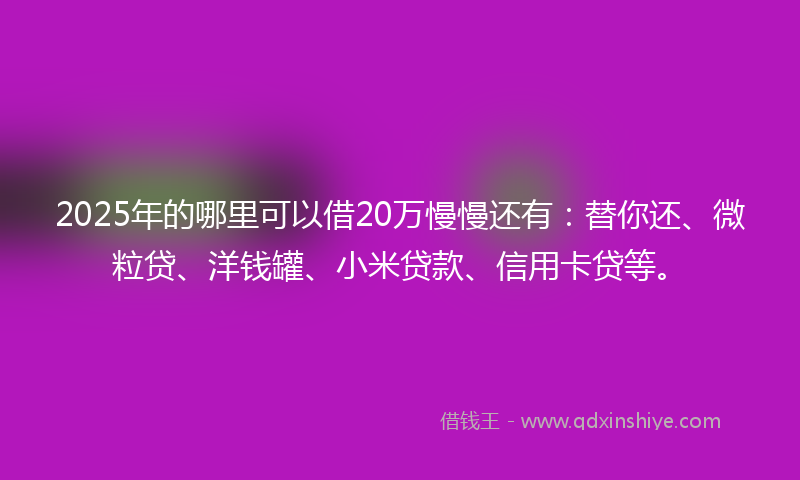 2025年的哪里可以借20万慢慢还有：替你还、微粒贷、洋钱罐、小米贷款、信用卡贷等。