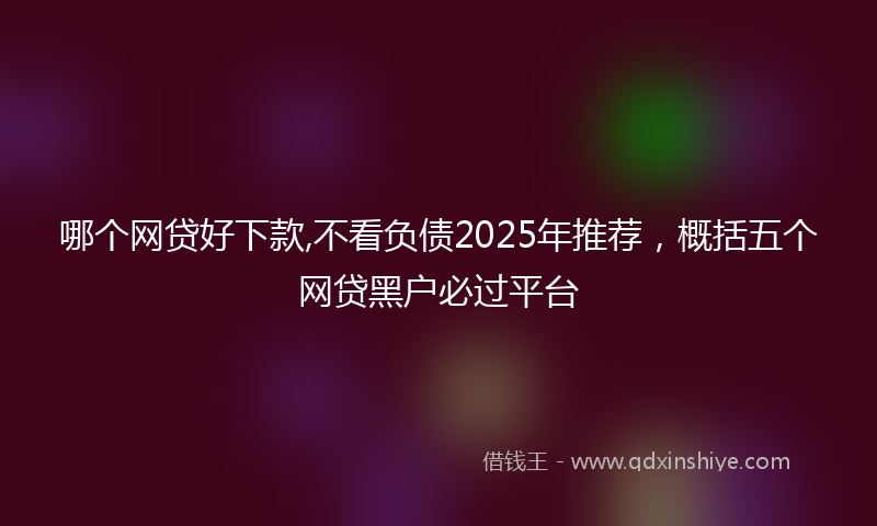 哪个网贷好下款,不看负债2025年推荐，概括五个网贷黑户必过平台