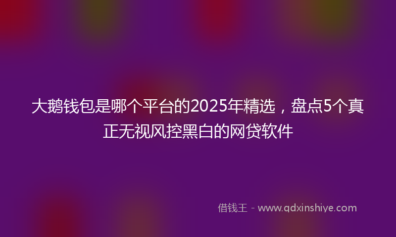 大鹅钱包是哪个平台的2025年精选，盘点5个真正无视风控黑白的网贷软件