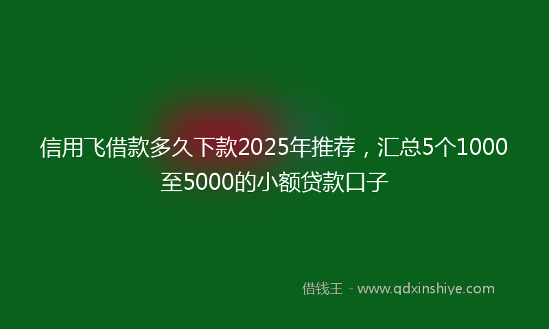 信用飞借款多久下款2025年推荐，汇总5个1000至5000的小额贷款口子