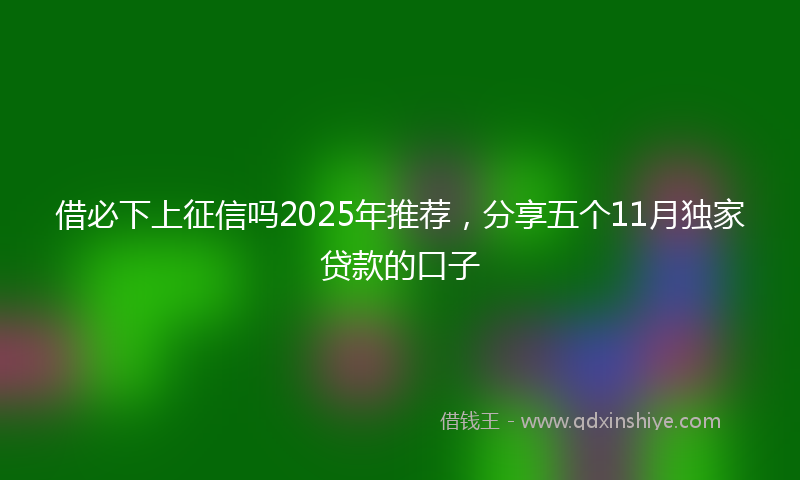 借必下上征信吗2025年推荐，分享五个11月独家贷款的口子