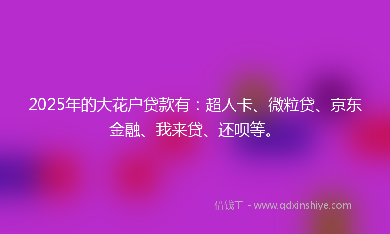 2025年的大花户贷款有：超人卡、微粒贷、京东金融、我来贷、还呗等。