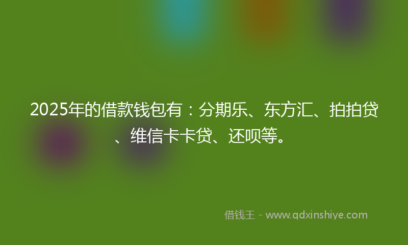 2025年的借款钱包有：分期乐、东方汇、拍拍贷、维信卡卡贷、还呗等。