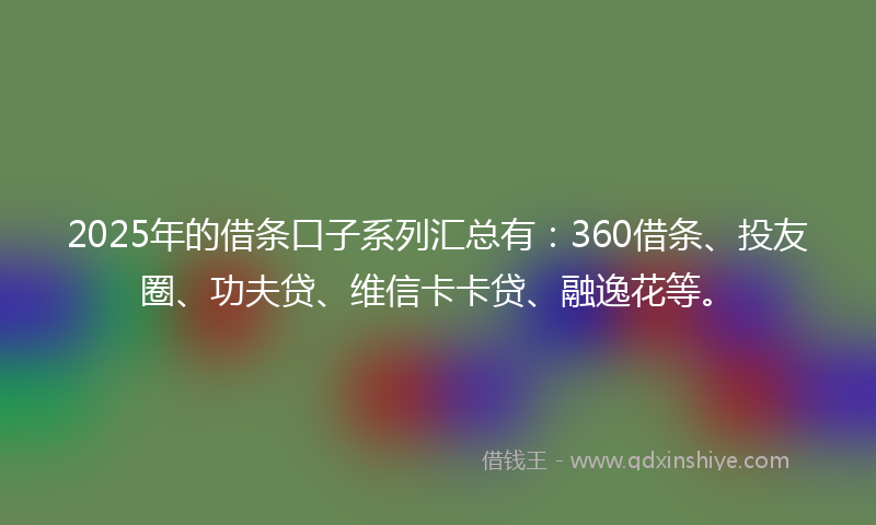 2025年的借条口子系列汇总有：360借条、投友圈、功夫贷、维信卡卡贷、融逸花等。