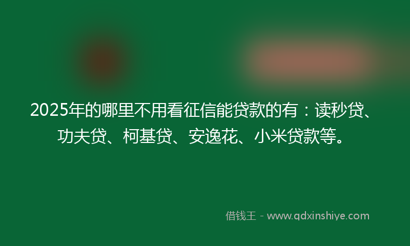 2025年的哪里不用看征信能贷款的有：读秒贷、功夫贷、柯基贷、安逸花、小米贷款等。
