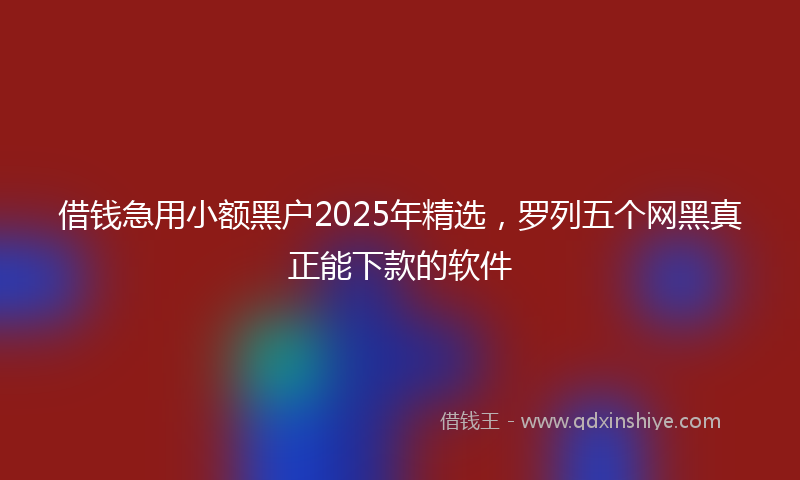 借钱急用小额黑户2025年精选，罗列五个网黑真正能下款的软件