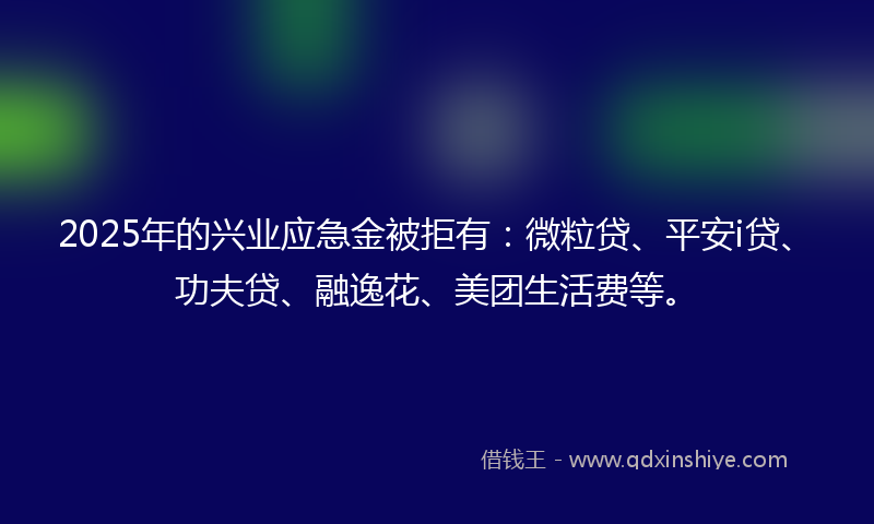2025年的兴业应急金被拒有：微粒贷、平安i贷、功夫贷、融逸花、美团生活费等。