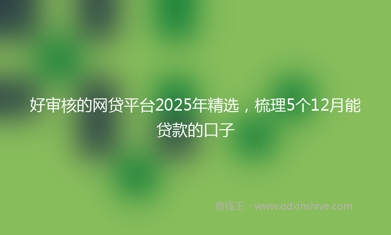 好审核的网贷平台2025年精选，梳理5个12月能贷款的口子
