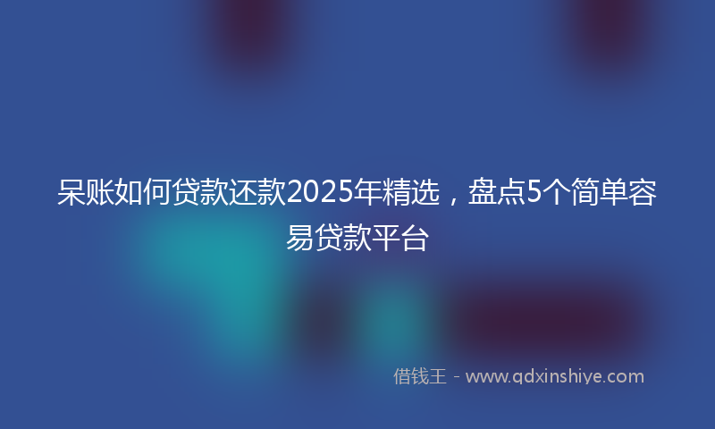 呆账如何贷款还款2025年精选，盘点5个简单容易贷款平台