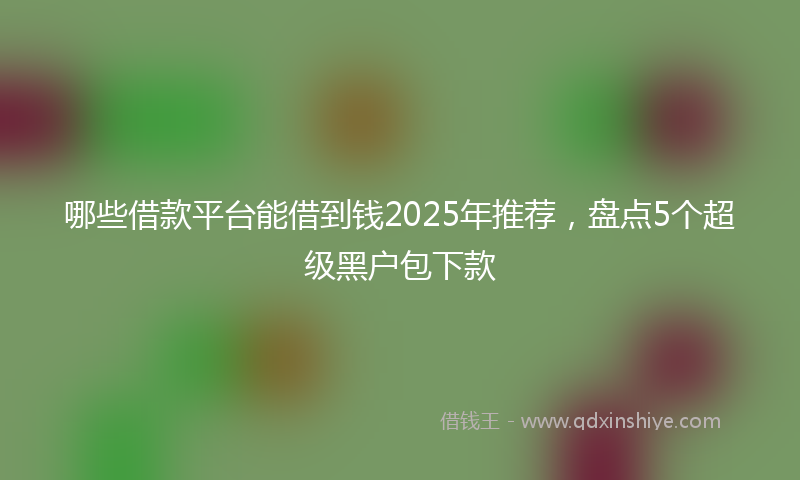 哪些借款平台能借到钱2025年推荐，盘点5个超级黑户包下款
