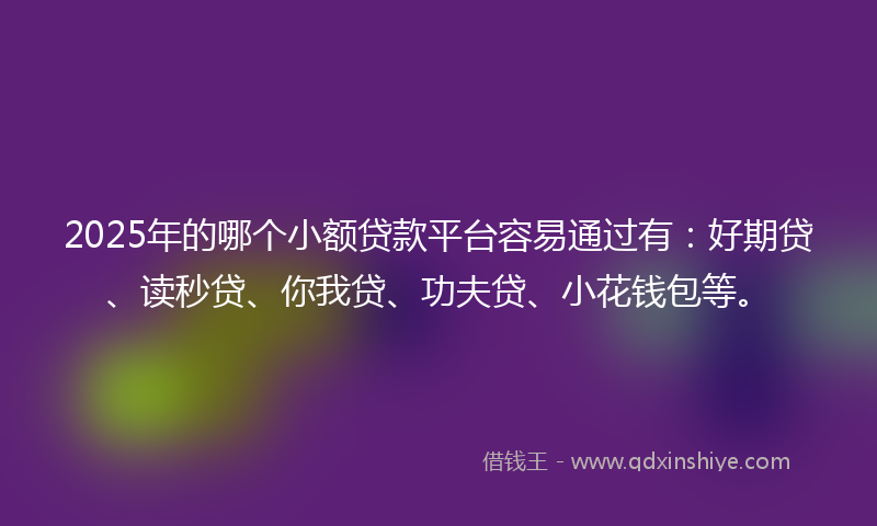2025年的哪个小额贷款平台容易通过有：好期贷、读秒贷、你我贷、功夫贷、小花钱包等。