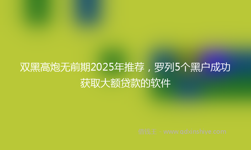 双黑高炮无前期2025年推荐，罗列5个黑户成功获取大额贷款的软件