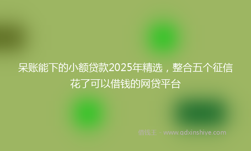 呆账能下的小额贷款2025年精选，整合五个征信花了可以借钱的网贷平台
