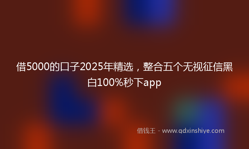 借5000的口子2025年精选，整合五个无视征信黑白100%秒下app
