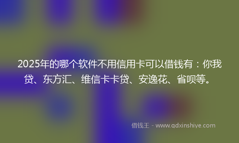 2025年的哪个软件不用信用卡可以借钱有：你我贷、东方汇、维信卡卡贷、安逸花、省呗等。