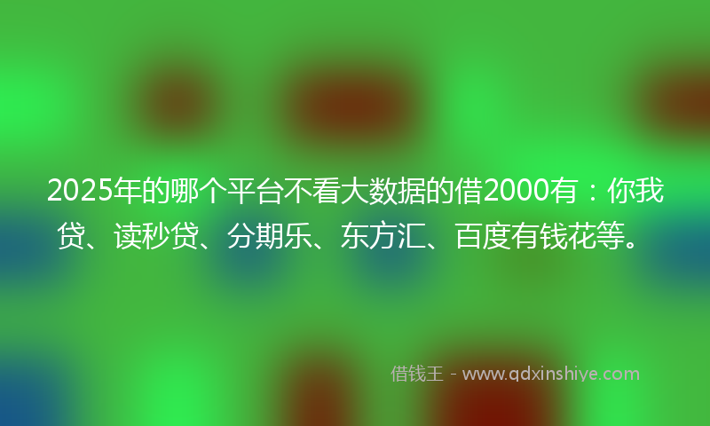 2025年的哪个平台不看大数据的借2000有：你我贷、读秒贷、分期乐、东方汇、百度有钱花等。