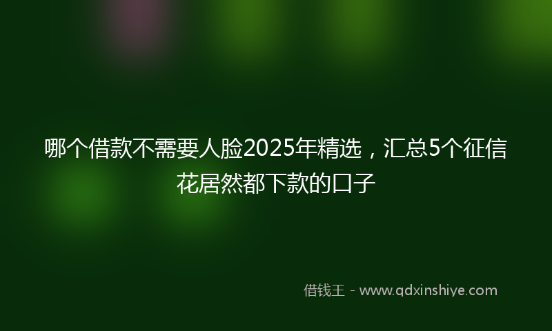 哪个借款不需要人脸2025年精选，汇总5个征信花居然都下款的口子