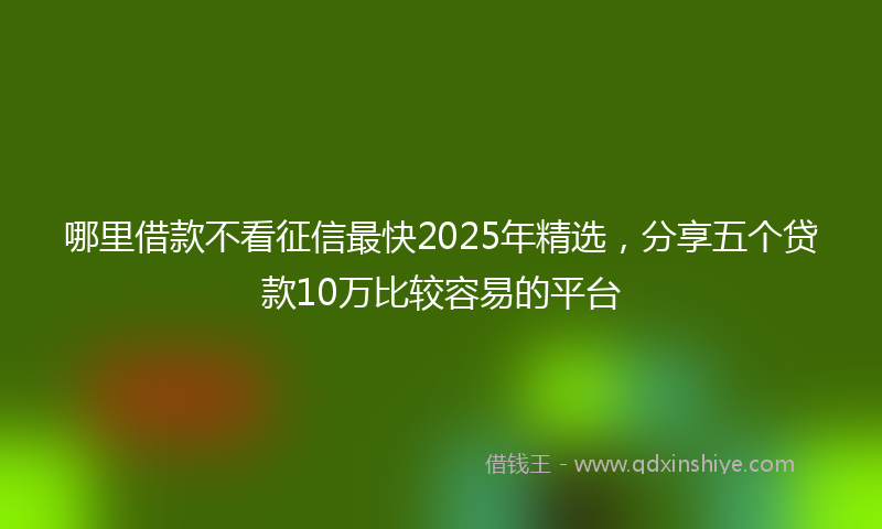 哪里借款不看征信最快2025年精选，分享五个贷款10万比较容易的平台