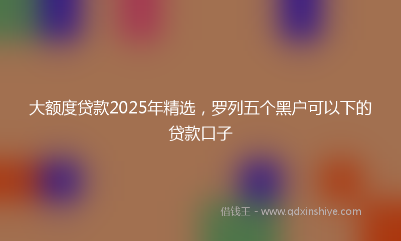 大额度贷款2025年精选，罗列五个黑户可以下的贷款口子
