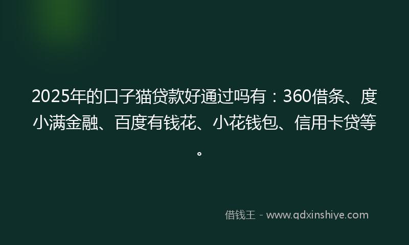2025年的口子猫贷款好通过吗有：360借条、度小满金融、百度有钱花、小花钱包、信用卡贷等。