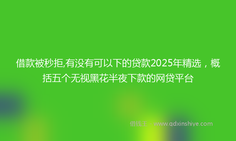 借款被秒拒,有没有可以下的贷款2025年精选，概括五个无视黑花半夜下款的网贷平台
