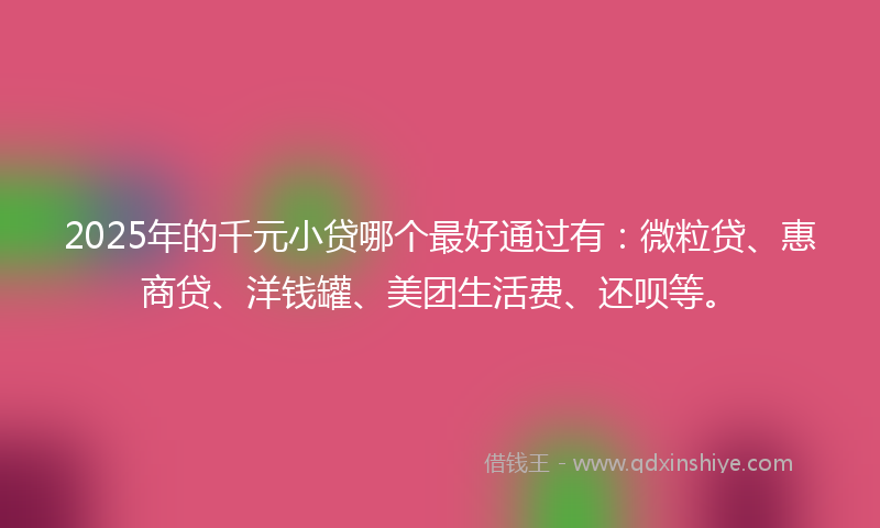 2025年的千元小贷哪个最好通过有：微粒贷、惠商贷、洋钱罐、美团生活费、还呗等。