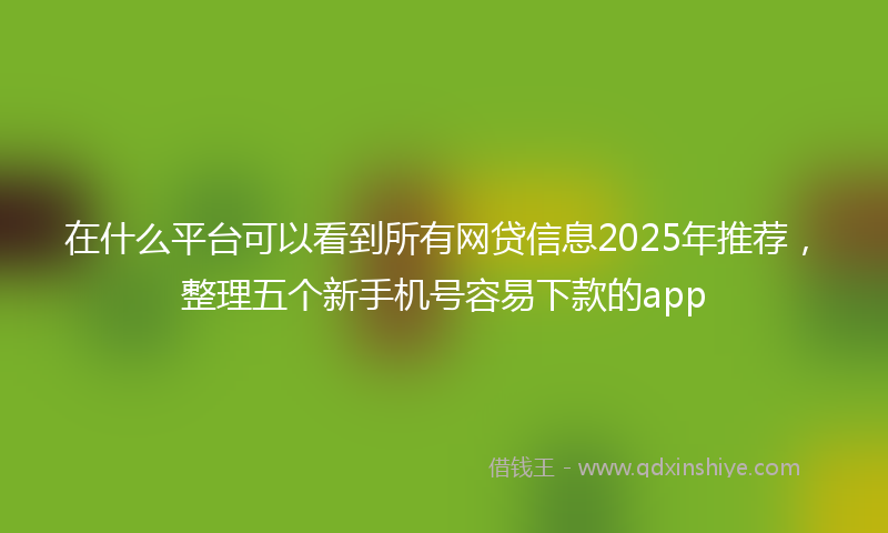 在什么平台可以看到所有网贷信息2025年推荐，整理五个新手机号容易下款的app