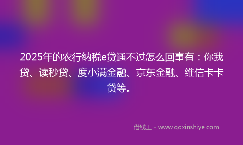 2025年的农行纳税e贷通不过怎么回事有：你我贷、读秒贷、度小满金融、京东金融、维信卡卡贷等。