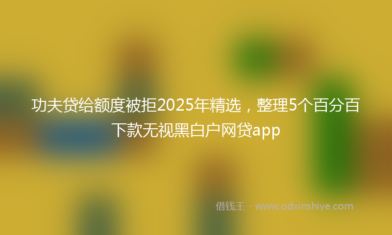 功夫贷给额度被拒2025年精选，整理5个百分百下款无视黑白户网贷app