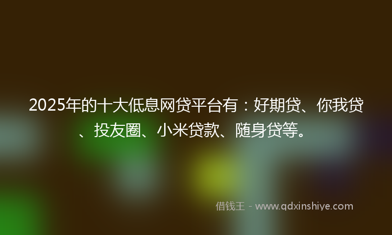 2025年的十大低息网贷平台有：好期贷、你我贷、投友圈、小米贷款、随身贷等。