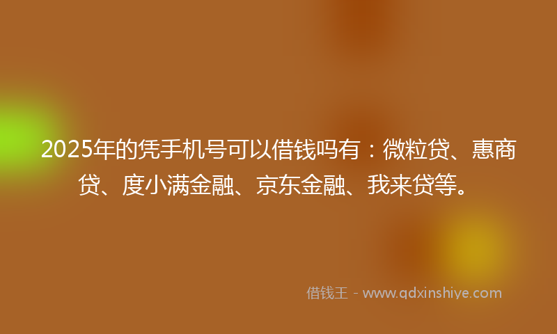 2025年的凭手机号可以借钱吗有：微粒贷、惠商贷、度小满金融、京东金融、我来贷等。