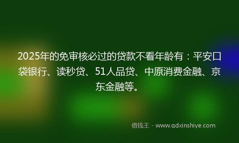 2025年的免审核必过的贷款不看年龄有：平安口袋银行、读秒贷、51人品贷、中原消费金融、京东金融等。