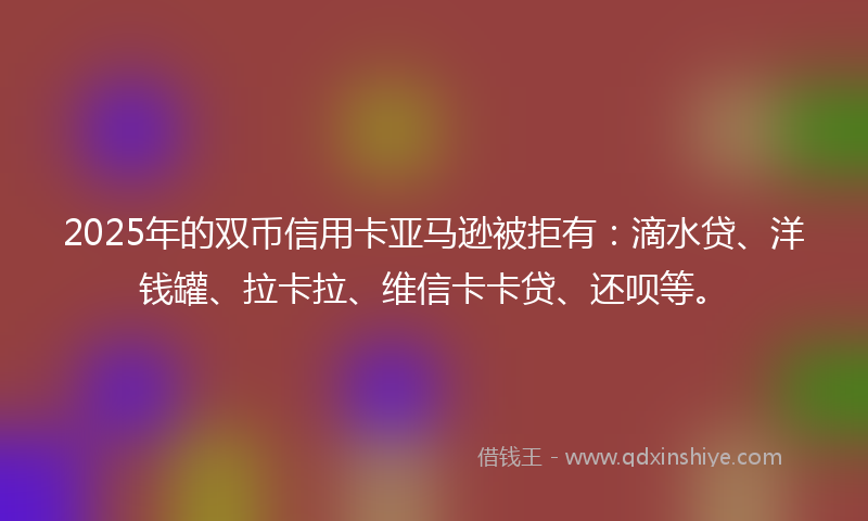 2025年的双币信用卡亚马逊被拒有：滴水贷、洋钱罐、拉卡拉、维信卡卡贷、还呗等。