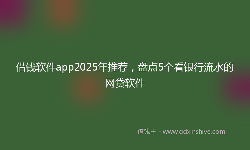 借钱软件app2025年推荐，盘点5个看银行流水的网贷软件