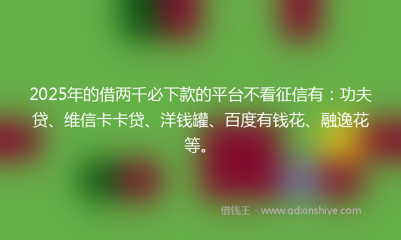 2025年的借两千必下款的平台不看征信有：功夫贷、维信卡卡贷、洋钱罐、百度有钱花、融逸花等。