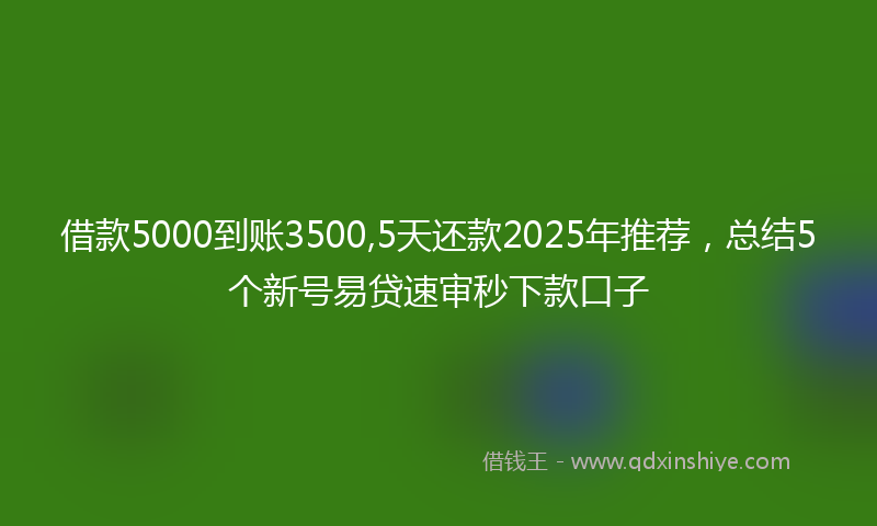 借款5000到账3500,5天还款2025年推荐，总结5个新号易贷速审秒下款口子