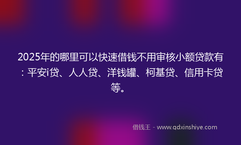 2025年的哪里可以快速借钱不用审核小额贷款有：平安i贷、人人贷、洋钱罐、柯基贷、信用卡贷等。