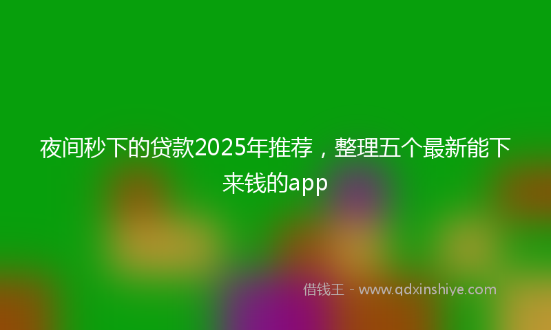 夜间秒下的贷款2025年推荐，整理五个最新能下来钱的app