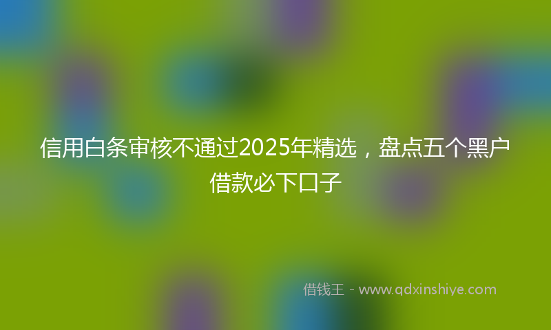 信用白条审核不通过2025年精选，盘点五个黑户借款必下口子