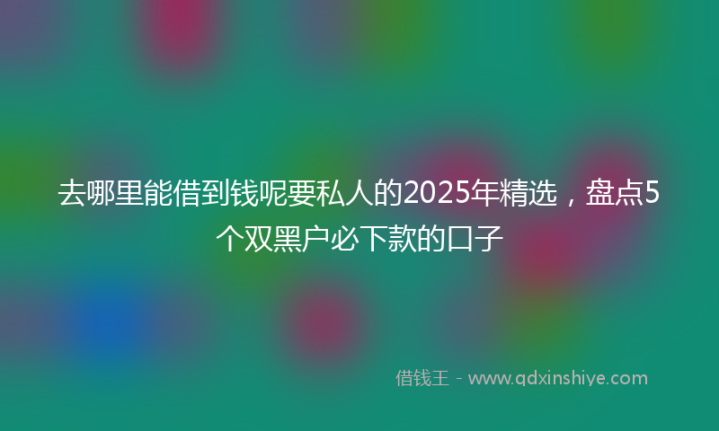 去哪里能借到钱呢要私人的2025年精选，盘点5个双黑户必下款的口子