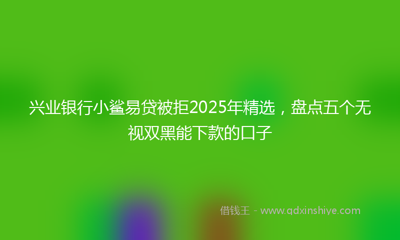 兴业银行小鲨易贷被拒2025年精选，盘点五个无视双黑能下款的口子