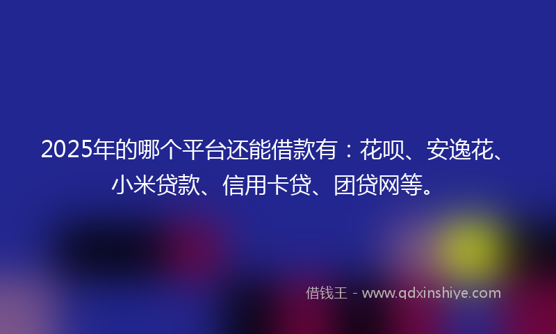 2025年的哪个平台还能借款有：花呗、安逸花、小米贷款、信用卡贷、团贷网等。