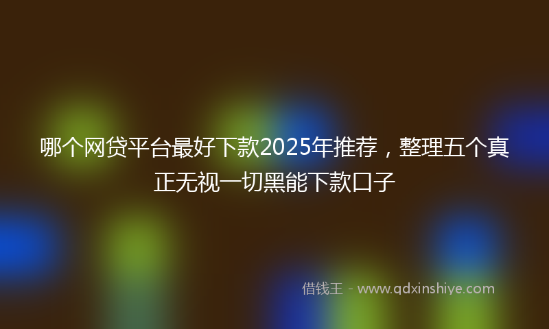哪个网贷平台最好下款2025年推荐，整理五个真正无视一切黑能下款口子