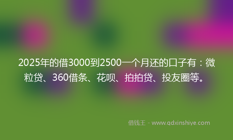 2025年的借3000到2500一个月还的口子有：微粒贷、360借条、花呗、拍拍贷、投友圈等。